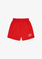 MESH INTERNATIONAL SHORTS